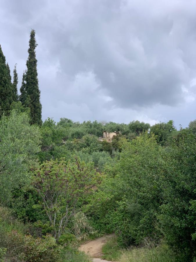 Villa Delfini Chrani Buitenkant foto